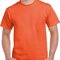 Heavy Cotton™ T- Shirt