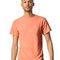 Heavy Cotton™ Adult T-Shirt