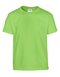 Heavy Cotton™ Youth T- Shirt