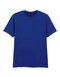 Gildan Softstyle® Adult T- Shirt