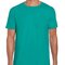 Gildan Softstyle® Adult T- Shirt