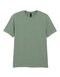 Gildan Softstyle® Adult T- Shirt