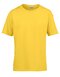 Softstyle® Youth T-Shirt