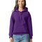 Softstyle® Midweight Sweat Adult Hoodie