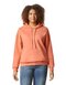 Softstyle® Midweight Sweat Adult Hoodie