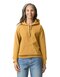 Softstyle® Midweight Sweat Adult Hoodie