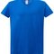 Curves T-Shirt V-Neck Lady