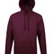 Unisex Hooded Sweat-Shirt Snake