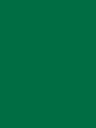 Polyneon 40 Green (5.000 m)