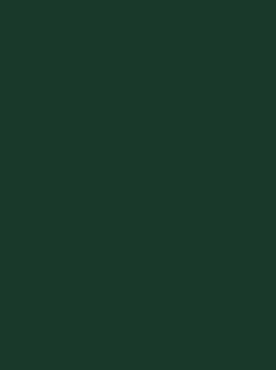 Polyneon 40 Green (5.000 m)