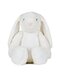 Zippie Bunny