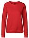 Ladies` Sweatshirt