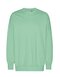 NET63011 Tiger Cotton by Neutral Oversized Sweatshirt