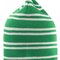 Team Reversible Beanie