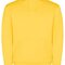 Urban Hooded Sweatshirt