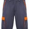 Shorts Tahoe