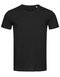 Ben Crew Neck