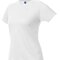 Ladies` Sport T-Shirt