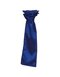 Satin Scarf