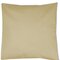 Pillow Case