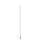BIC® Evolution® Ecolutions® Cut Bleistift