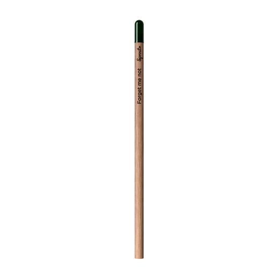 Sprout | Pencil