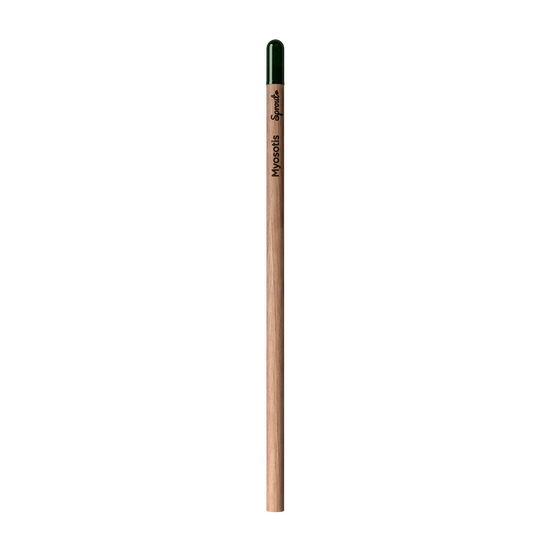 Sprout | Pencil