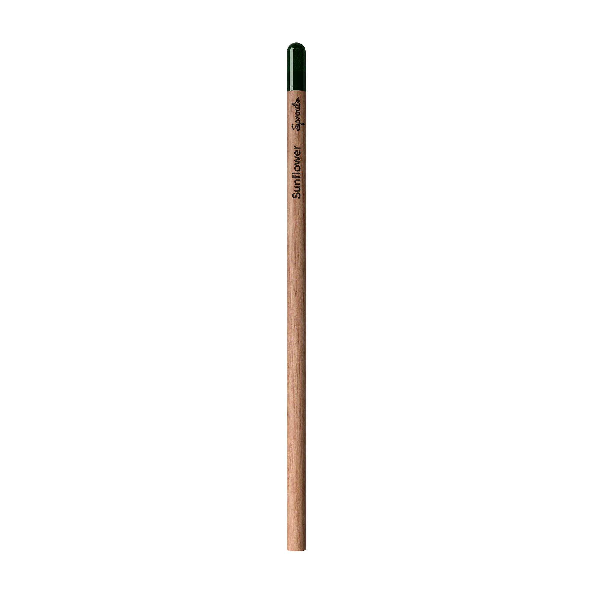 Sprout | Pencil